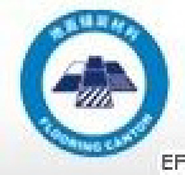 2010中國(廣州)國際地面鋪裝材料展
