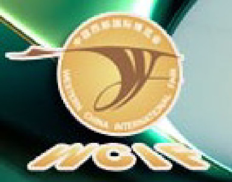 2010年中國西部國際博覽會(huì)