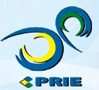 2013第三屆中國(guó)(廈門)塑料橡膠工業(yè)展覽會(huì)